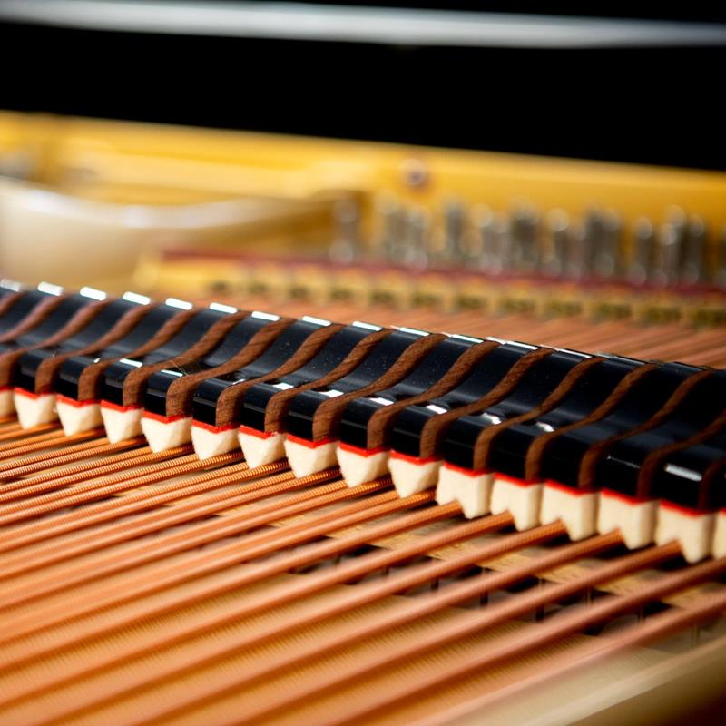 kewp_29-06-2025 - Königin-Elisabeth-Wettbewerb – Preisträgerkonzert Klavier